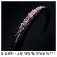 dj Shabby - June 2025 Raw Techno Mix pt. 1