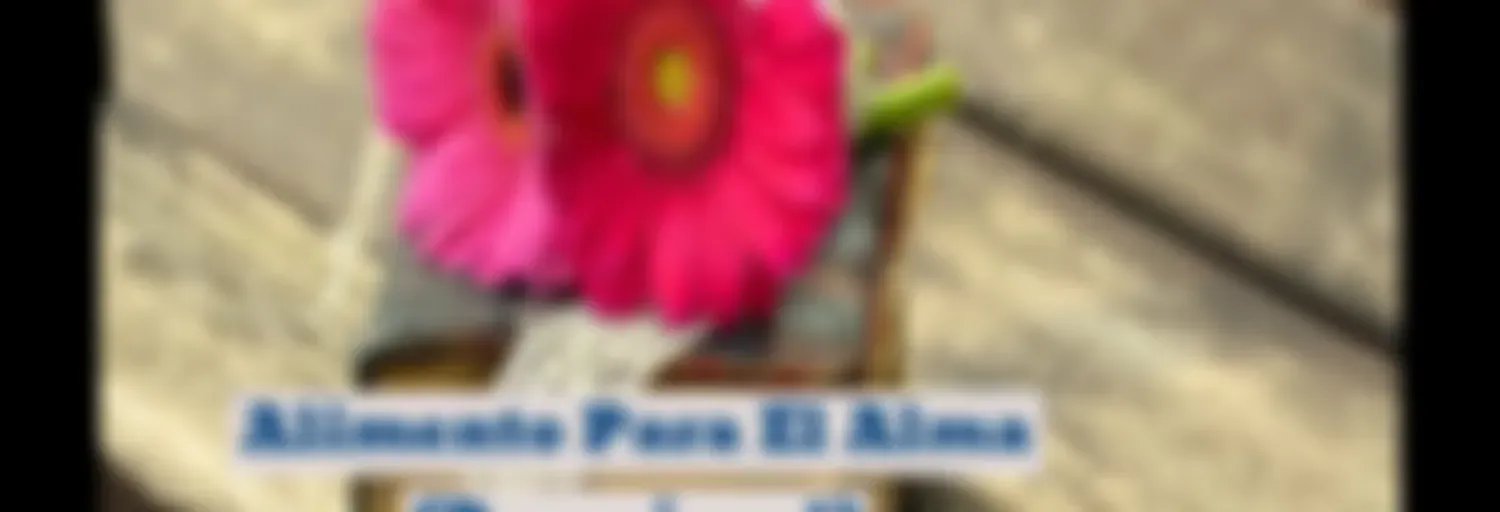 Alimento para el Alma