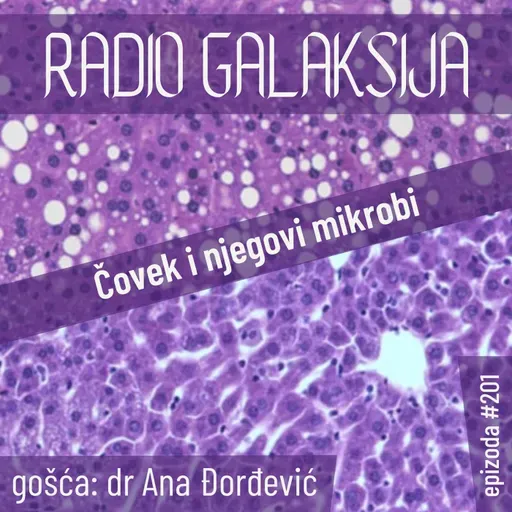 Radio Galaksija #201: Čovek i njegovi mikrobi (dr Ana Đorđević) [11-11-2025]