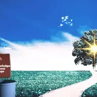 The Difference Between Knowledge & Life, Two Trees - Guest Pastor Rios