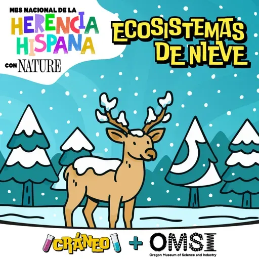 Ciencia de la nieve: efecto albedo y ecosistemas
