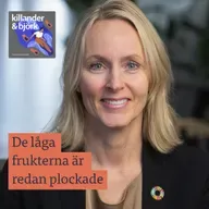 Anja Hannerz. Bankerna och en ny tid för hållbarhet