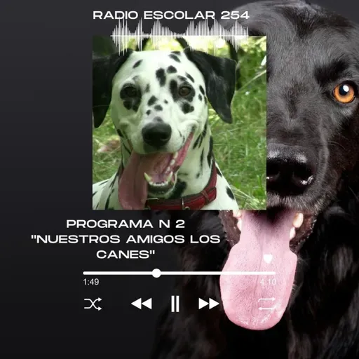 PROGRAMA 3.mp3