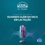 Serie Manejo de Secagem #8 Olhando além da vaca em lactação