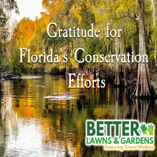 S2 Ep403: Better Lawns and Gardens - Hour 1 Thanksgiving for Conservation Efforts November 22, 2025