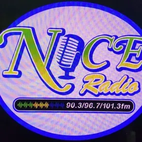 BDS NICE RADIO SVG