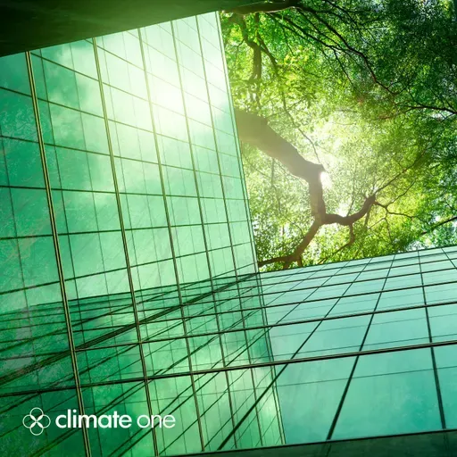 Cities Leading the Way