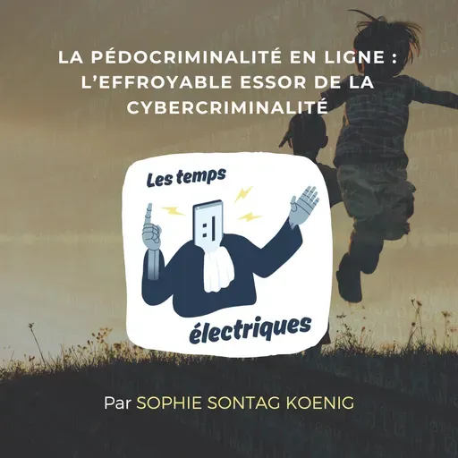 La pédocriminalité en ligne : l’effroyable essor de la cybercriminalité