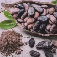 T03 E24 MUSEO DE LOS PUEBLOS LEONESES: CACAO Y CHOCOLATE