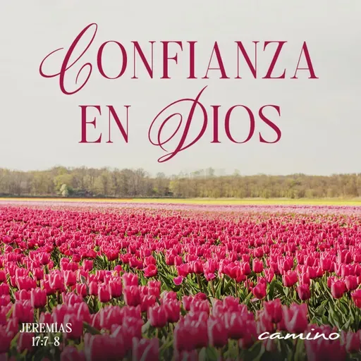 Oración 14 de julio (Confianza en Dios)