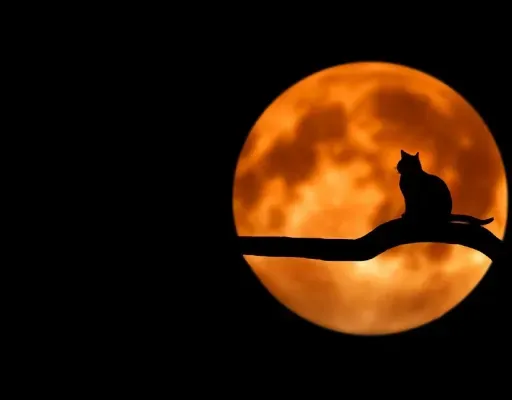 Мистика и шаманство с разных точек зрения