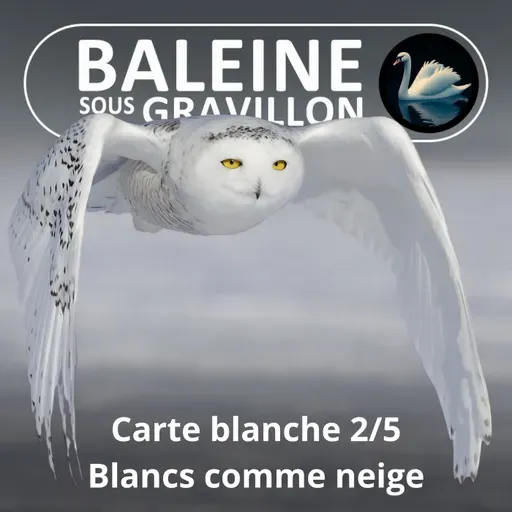 S05E122 Carte blanche 2/5 : Blancs comme neige