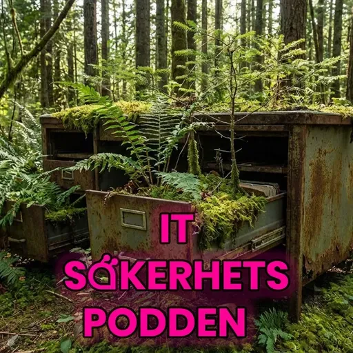 #320 - Utmaningarna med långtidslagring