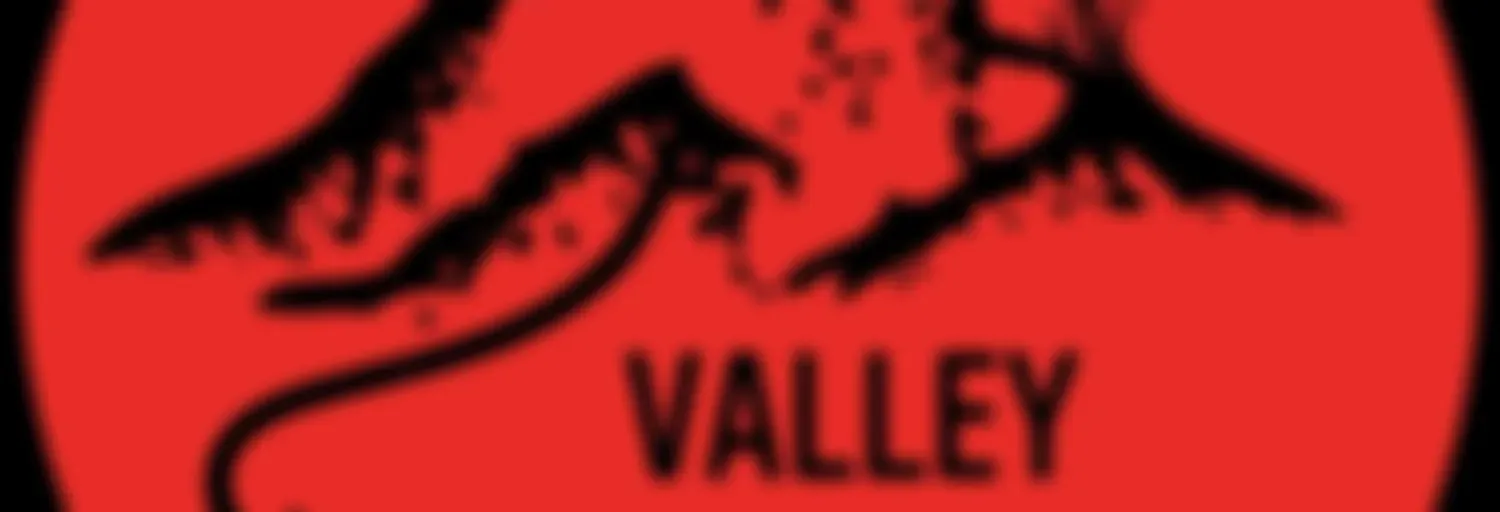 Valley Sports Plug Podcasts 🔌