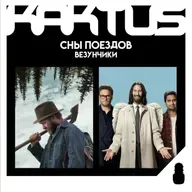 Кактус №507 [подкаст о кино] - Сны поездов, Везунчики, финал ТЫ и борьба за Warner bros