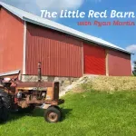 The Little Red Barn Podcast Ep. 138: Anxiety!