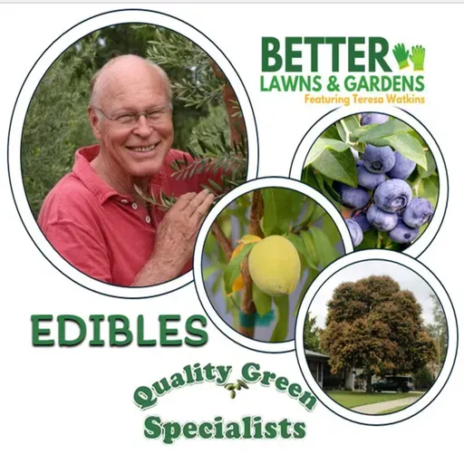 S2 Ep430: Better Lawns and Gardens - Hour 1 Edibles with Dana Venrick February 28 2026