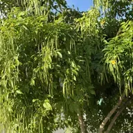 HÁBLAME DE TU EXPERIENCIA (E1986).