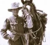 A TRIBUTE TO THE WALER: AUSTRALIA'S GREATEST HORSE