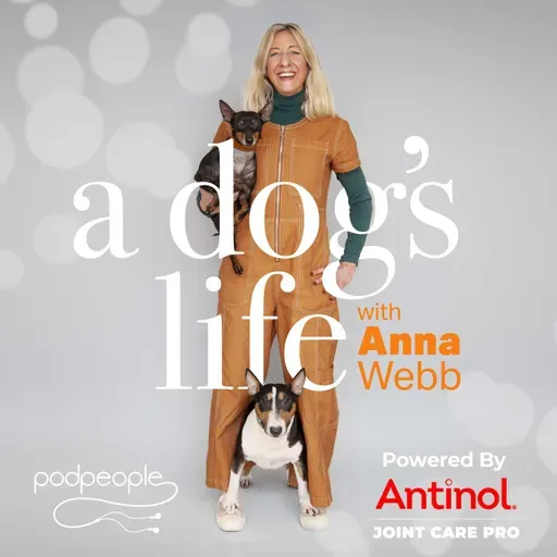 UK Pet Food