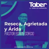 Reseca, agrietada y arida