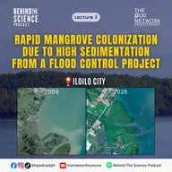 Lec3 - Rapid mangrove colonization due to high sedimentation from a flood control project