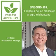 509 El impacto de los aranceles al agro michoacano con Macedonio Arteaga