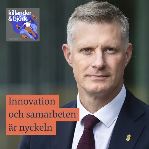 Robert Egnell. Sveriges roll i en ny världsordning