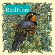 BONUS EPISODE: Words in Flight