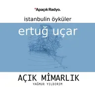 İstanbulin öyküler
