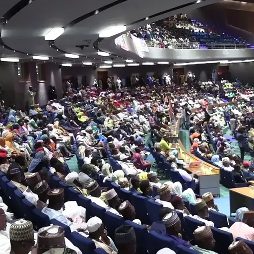 Le journal du 19 janvier 2026 - Centenaire de Niamey : coup d’envoi des activités le 17 janvier dernier