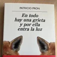 'En todo hay una grieta y por ella entra la luz', la novela con pies de página de Patricio Pron