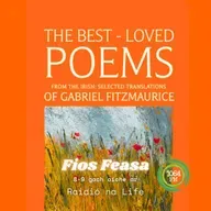 Aistriúcháin Nua - Gabriel Fitzmaurice
