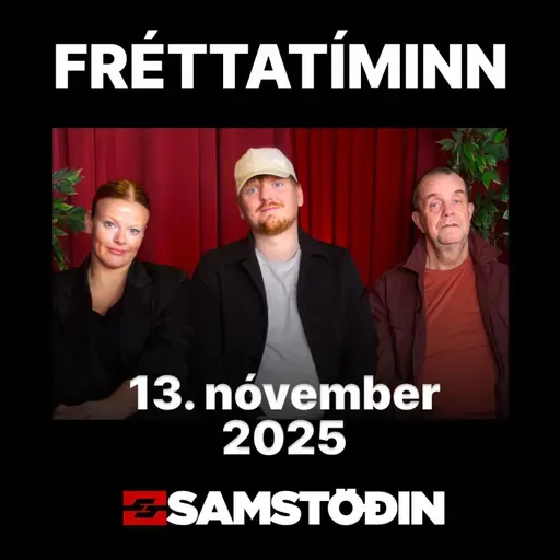 FRÉTTATÍMINN 13. nóvember