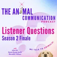 Listener Questions Season Finale