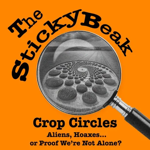 Crop Circles: Aliens, Hoaxes… or Proof We’re Not Alone?
