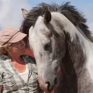270 - Hestekvinner snakker om hest - VIII