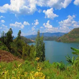 Igitondo