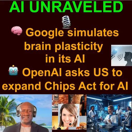 AI Weekly Business & News Rundown: 🧠 Google simulates brain plasticity in its AI 🤖 OpenAI asks US to expand Chips Act for AI & more