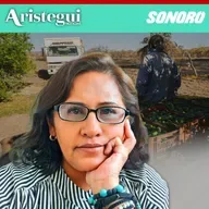 Entrevista: Cinco cárteles y 32 células criminales controlan la producción de limón y aguacate en Michoacán