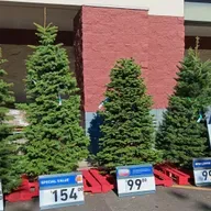 Cut Christmas Tree Care Tips