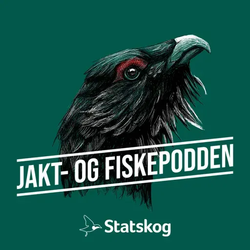 #304 Blyfritt i Baikal, hagleammovalg og moraltrøbbel med catch & release