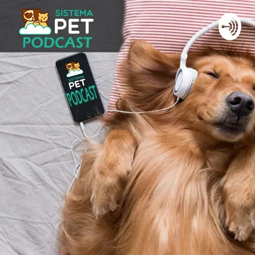 PL 523 - Evolução ou Retrocesso