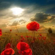 罗素：你要用你喜欢的方式过一生