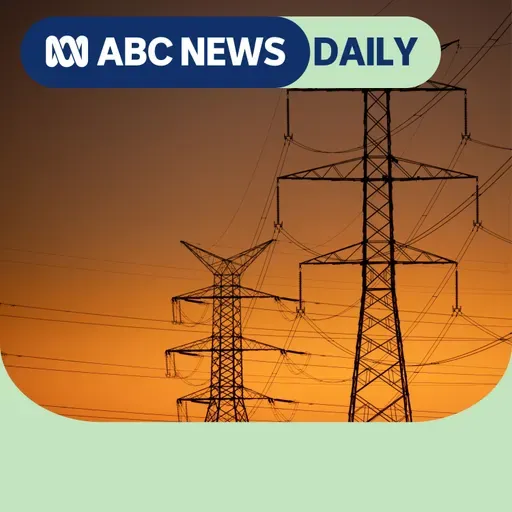 Can farmers take on transmission towers and win?