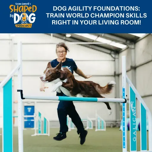Dog Agility Foundations: Train World Champion Skills Right In Your Living Room! #311