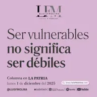 27. No, vulnerabilidad no significa debilidad