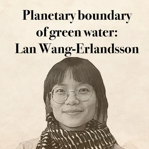 The planetary boundaries of green water : Lan Wang-Erlandsson