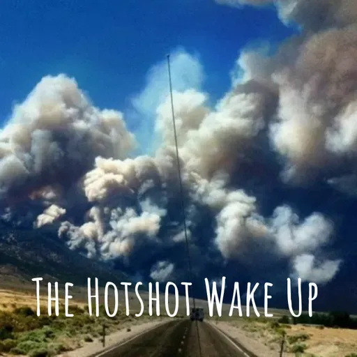 The Future Of Wildfire Tech And The Wildfire Technology Summit: A Conversation With Western Fire Chiefs Association CEO, Chief Mark Niemeyer.