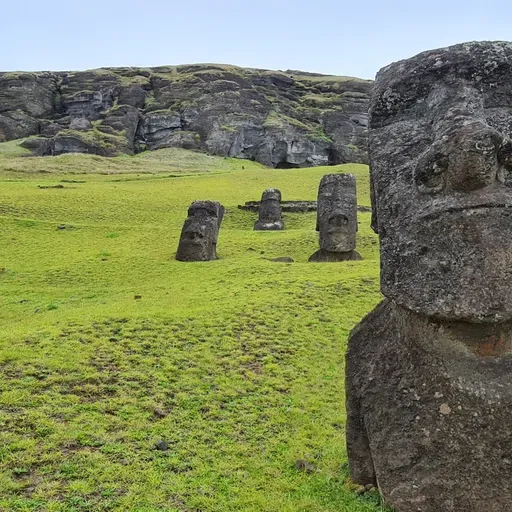 Et af verdens mest omtalte lægemidler blev fundet i jorden på Påskeøen